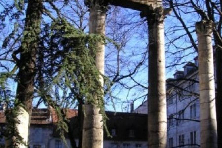 Visite culturelle : 